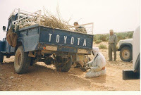 Tuaregue libia