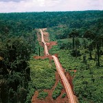 Br 319 Estrada