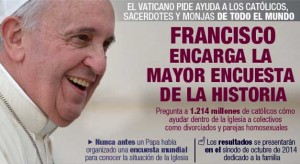 Respostas a Francisco