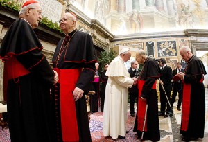 Curia fofoca 21-12-13