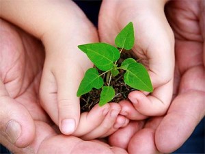 Ecologia x