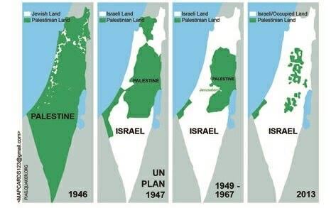 Israel x Palestina 6